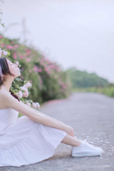 电视剧对峙